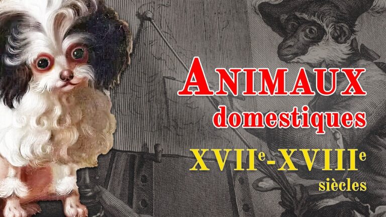 Les animaux de compagnie aux XVIIe et XVIIIe siècles : chiens, chats, perroquets…