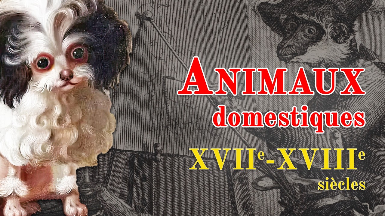 Les animaux de compagnie aux xviie et xviiie siècles : chiens, chats, perroquets…